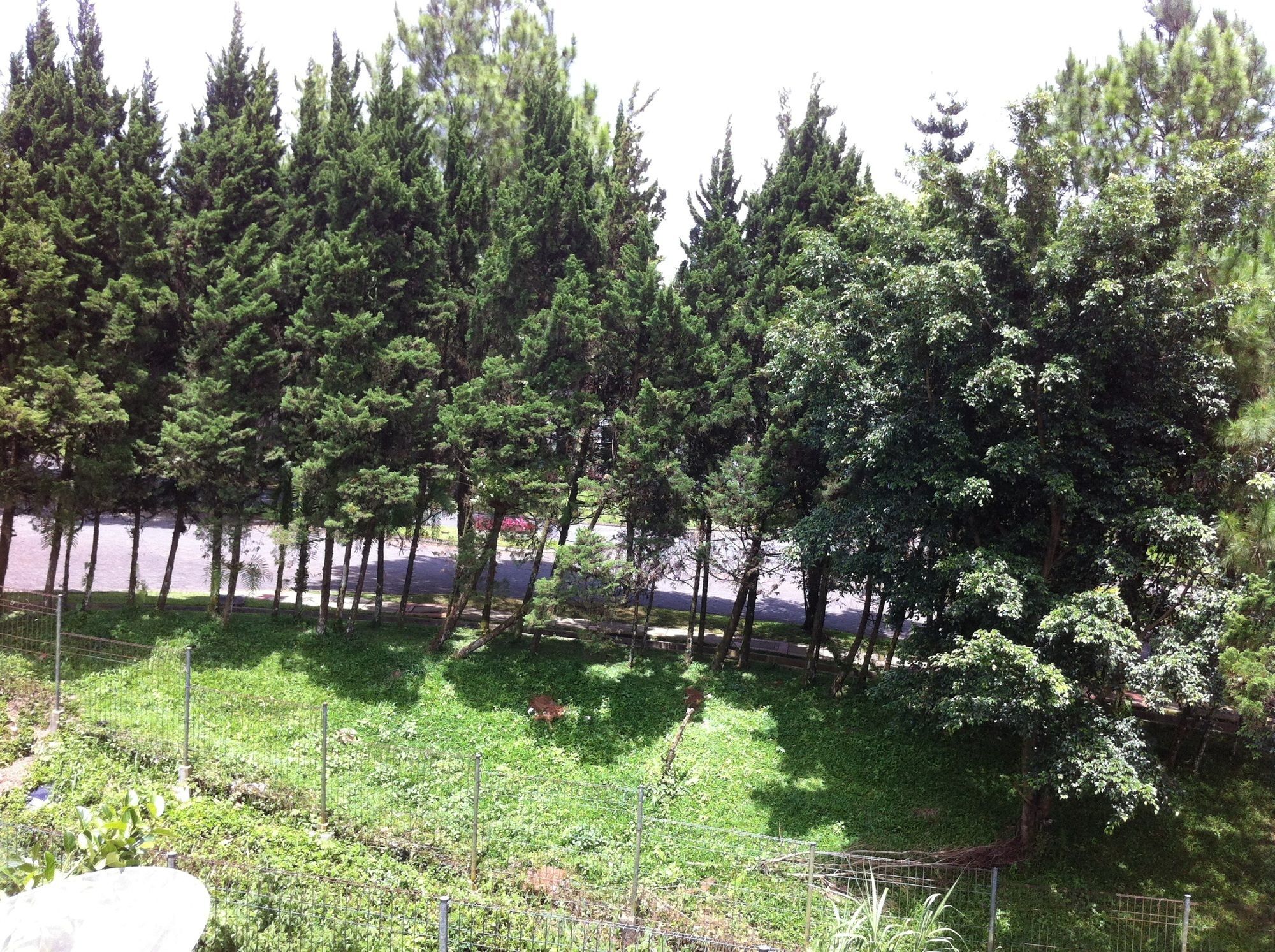 Villa Bukit Danau Lot 12 Cipanas  Εξωτερικό φωτογραφία